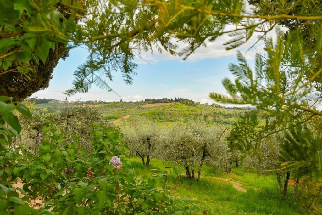 Appartamento Con Vista Panoramica In Chianti 圣多尼诺 外观 照片